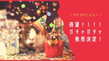 【ついに】PUIPUIモルカーのガチャガチャが発売決定だ！