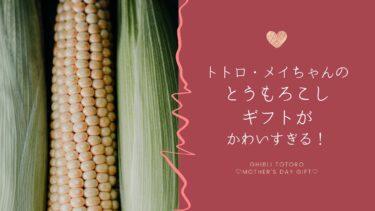 トトロ｜メイのとうもろこしラッピングの母の日ギフトが話題！