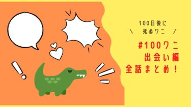 100日間生きたワニの100ワニ出会い編全話まとめ！
