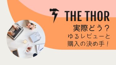THE THORの評判とゆるレビュー！初心者雑記ブログで検索流入90％！