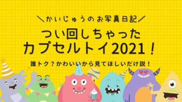 2021年に買ったカプセルトイ！大人も欲しいキャラ物・実用品も！