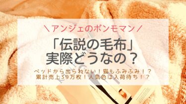 アンジェ伝説の毛布ボンモマンの評判！とろける質感で39万枚販売！