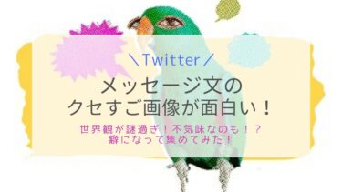 Twitter機能使用時に出る画像のクセが強すぎ！集めてみたよ！
